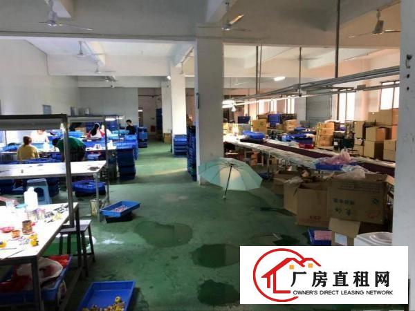  凤岗嘉辉豪庭附近二楼厂房出租刷绿地坪漆