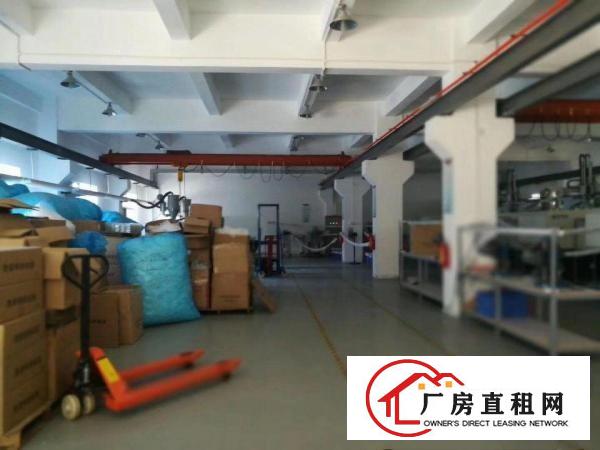  凤岗雁田布心一楼厂房出租1000平带牛角行车