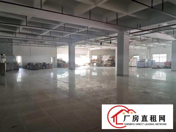  一楼6米，厂房仓库5000平方