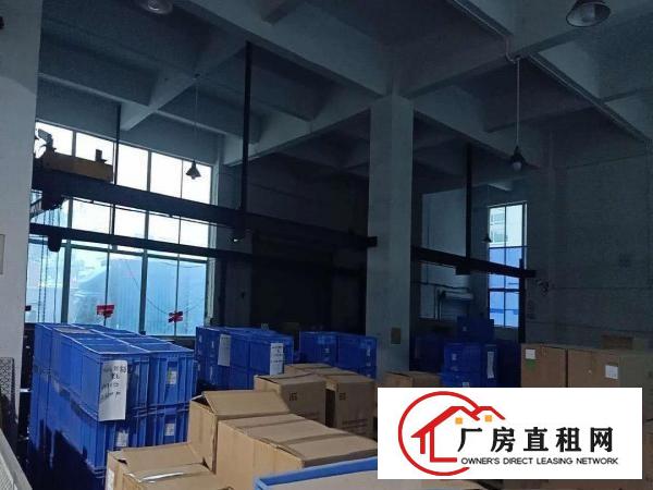  出租凤岗镇凤岗体育馆