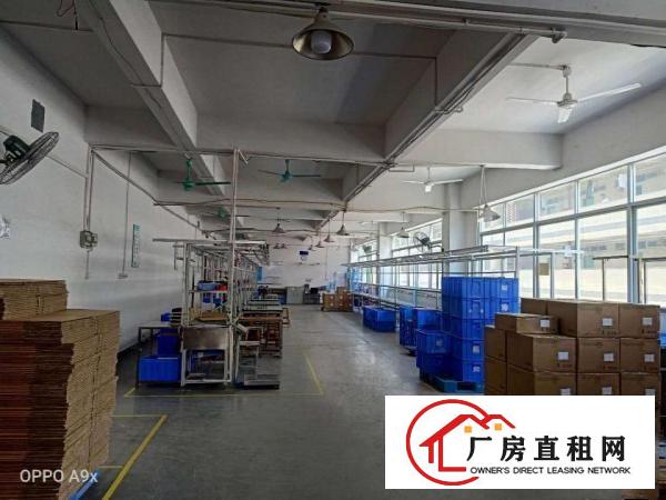  出租凤岗镇凤岗体育馆