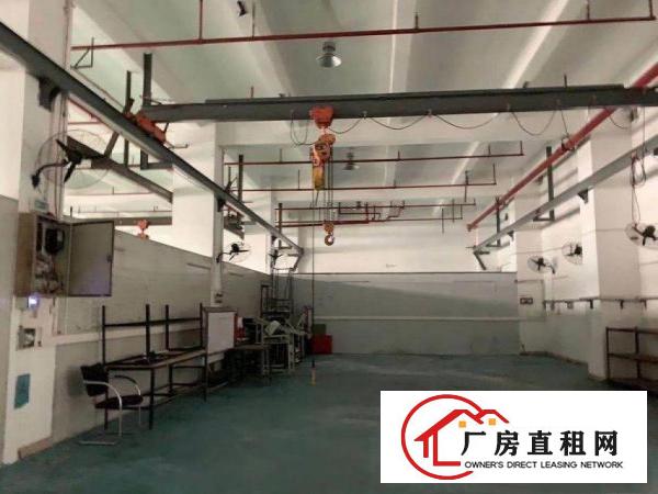  厂房出租油甘埔一楼1000平方豪华装修厂房