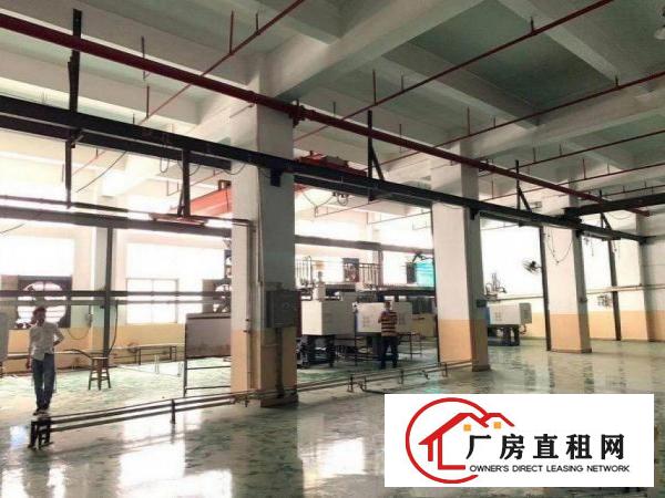  厂房出租油甘埔一楼1000平方豪华装修厂房