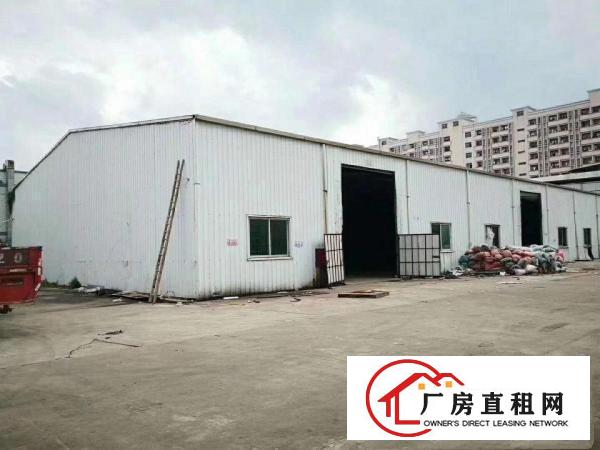  凤岗金凤凰原房东单层钢构8米高1180平方出租，适合各行业