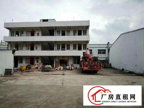  凤岗金凤凰原房东单层钢构8米高1180平方出租，适合各行业