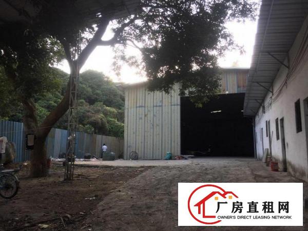  原房东单一层独院钢构1000出租