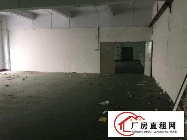  原房东二楼1500平，精装办公室装修