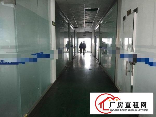  原房东二楼1500平，精装办公室装修