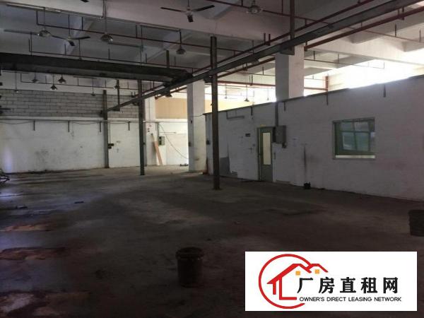  天堂围一楼带装修厂房870平出租