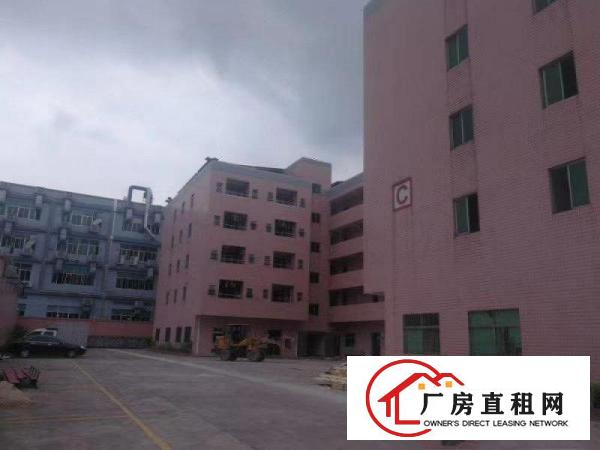  雁田布心独栋厂房出租！可分租！600起租