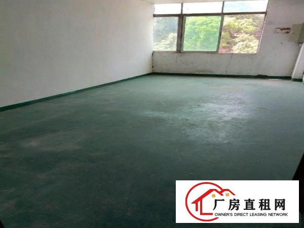  标准厂房，形象好，带装修