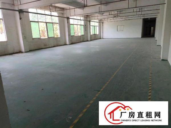  标准厂房，形象好，带装修