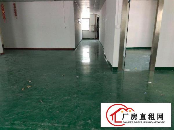  标准厂房，形象好，带装修