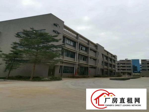  凤岗镇碧湖大道旁红本独栋厂房20900平米