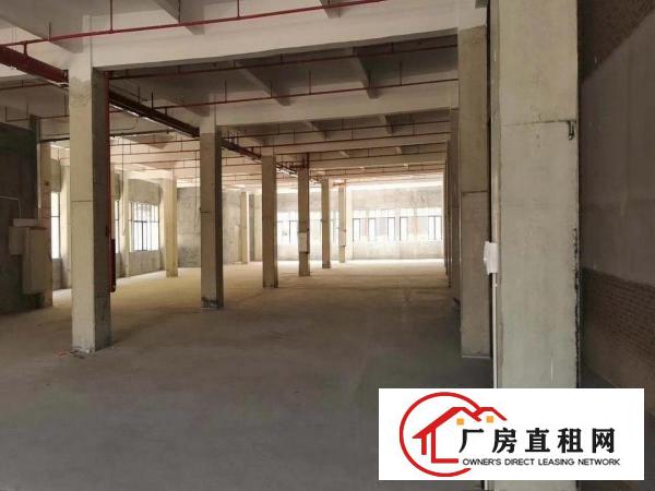  凤岗镇碧湖大道旁红本独栋厂房20900平米