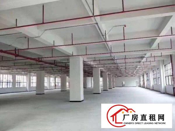  凤岗各种工业厂房大小分租