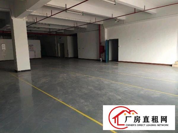  厂房招租，看中就租，条件好谈