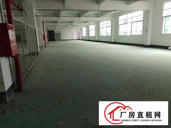  厂房招租，看中就租，条件好谈