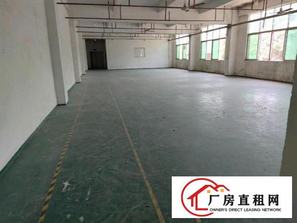  厂房招租，看中就租，条件好谈