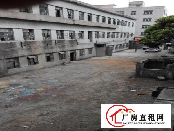  小型独院厂房分租500m²起分