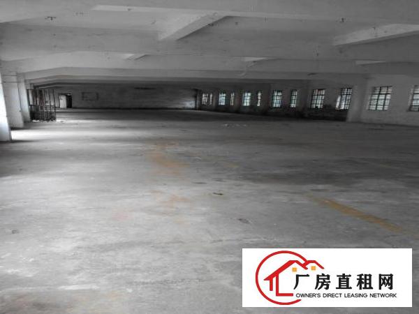  小型独院厂房分租500m²起分