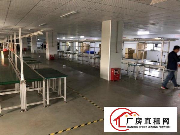  凤岗厂房出租1300平方二楼15块钱水电齐全现成装修办公室