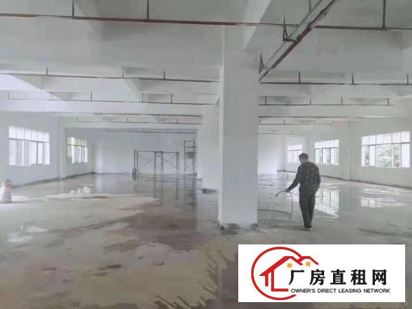  凤岗官井头原房东急出租厂房2楼1200平方价格便宜近龙岗