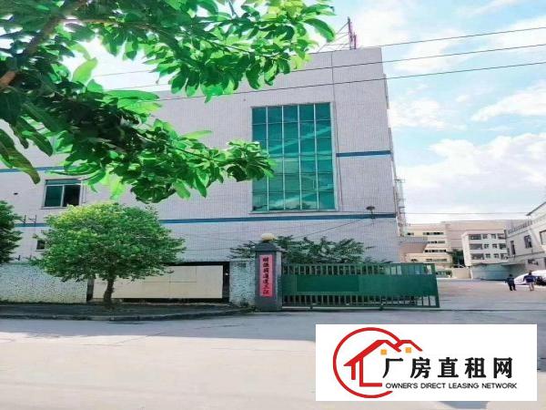  我租客带牛角一楼2100厂房出租，可以做注塑