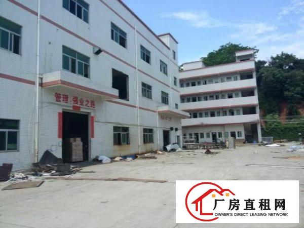  凤岗工业区800平米标准厂房招租