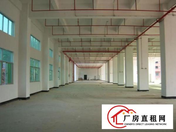  凤岗一楼8米高1500平方厂房招租可以分租