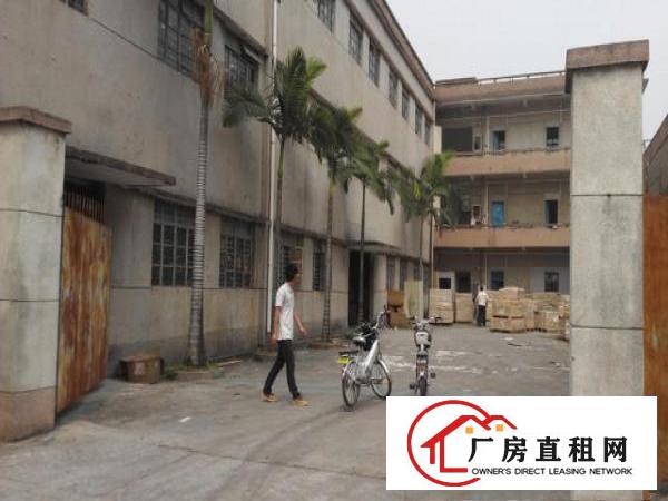  5300m²独院厂房出租可分租小分租500