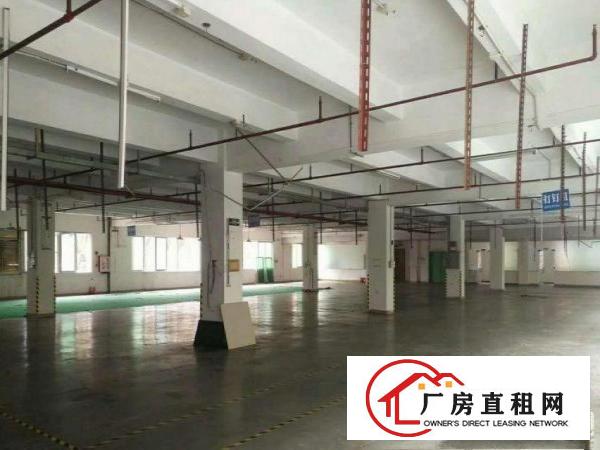  塘沥工业区分租楼上1600平方现成地坪漆豪华装修