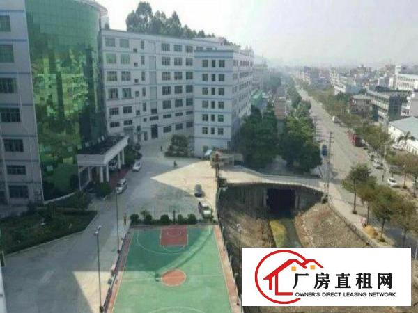  业主自建厂房，自主出租