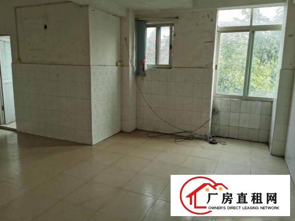  油甘埔村新出小面积300厂房出租，带办公水电齐全