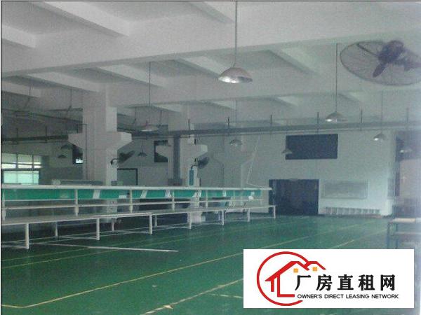  凤岗带办公楼标准厂房500-2000㎡招租