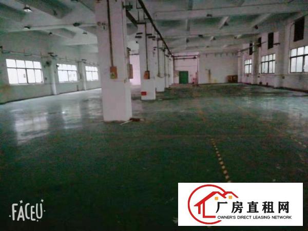  凤岗竹塘独院厂房分租1楼、3楼各1300平米无公摊