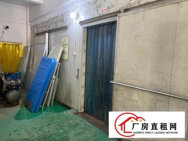  一楼冷库出租可洗涮加工肉制品