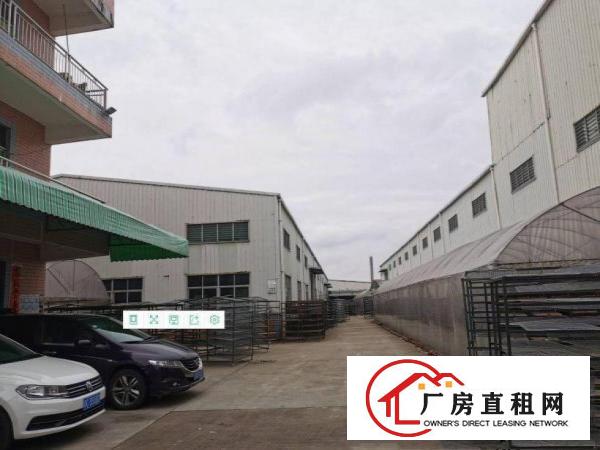  出租凤岗镇金凤凰工业区