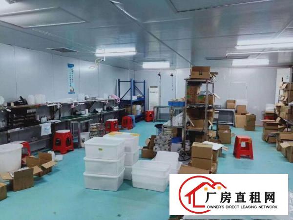  凤岗适合电子数据线针织豪华装修无尘车间出租1600平
