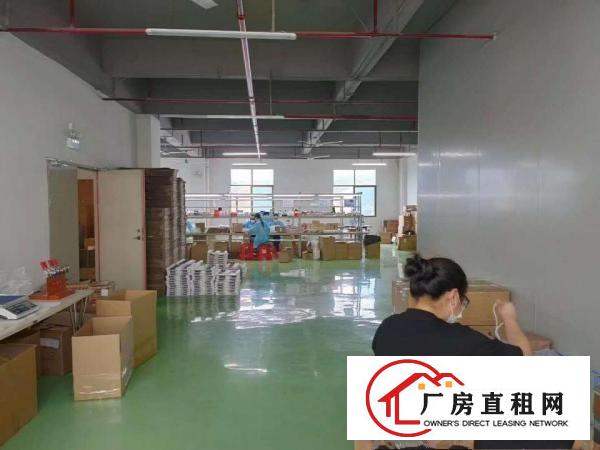  有办公室凤岗楼上厂房出租650平刷有绿色地坪漆