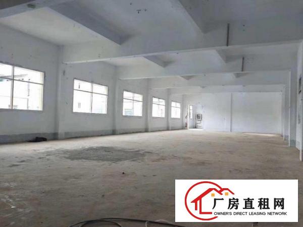  全面翻新凤岗油甘埔小独院厂房出租2500平方