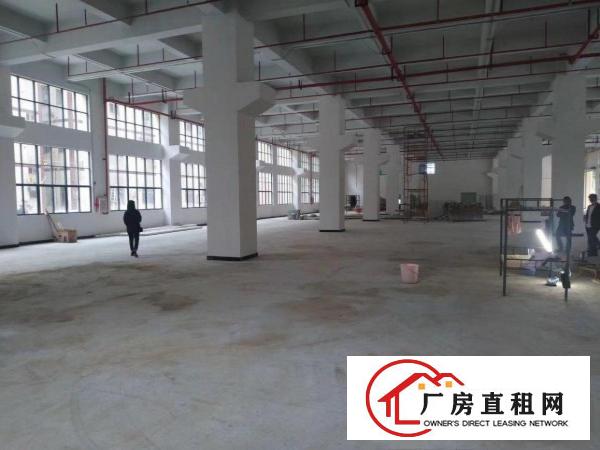  凤岗全新独院厂房出租，可分租