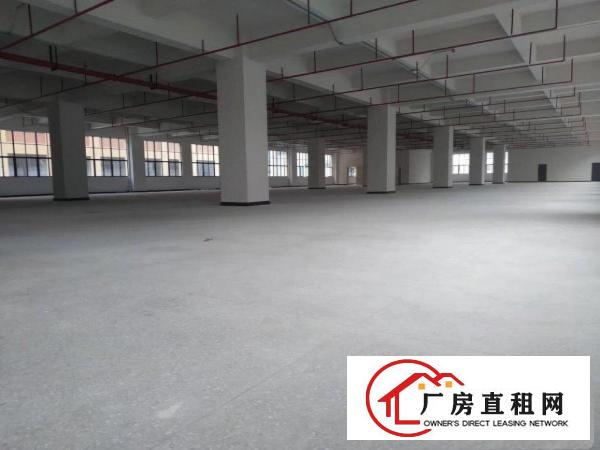  凤岗全新独院厂房出租，可分租