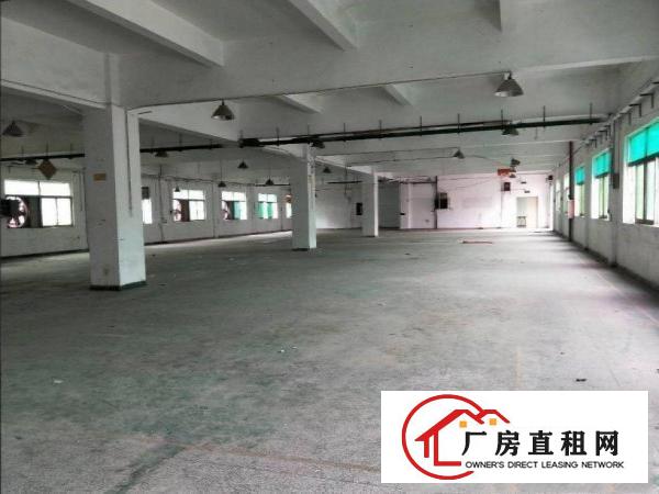 三联村出租新出独门独独院7500，水电齐全精装修