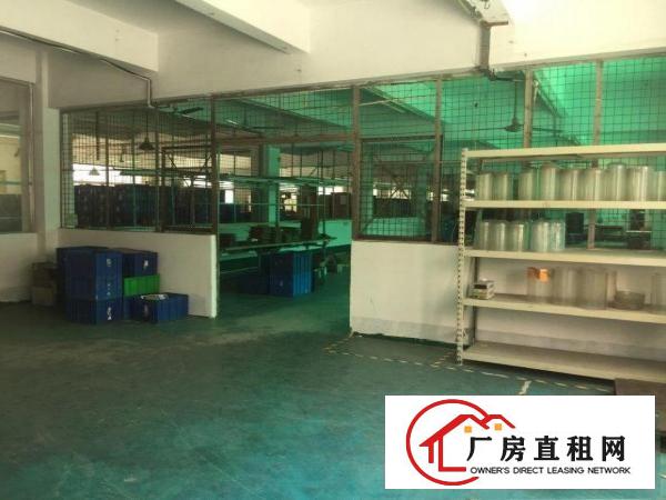  五联原房东独院2300出租