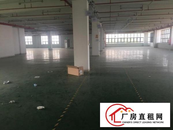  五联工业区楼上1800平出租