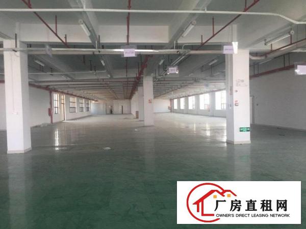  五联工业区楼上1800平出租