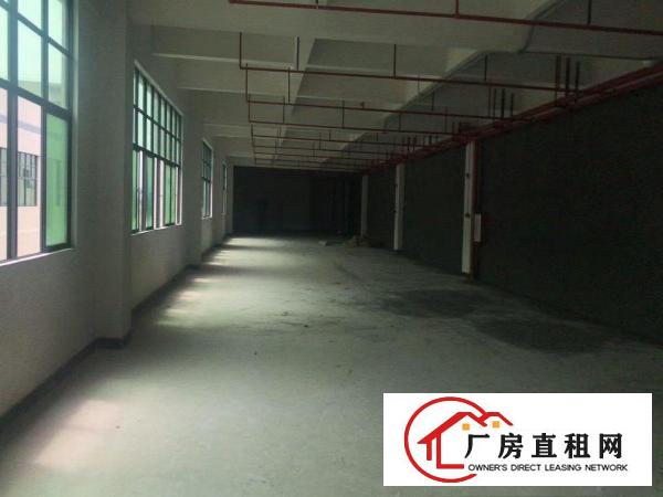  凤岗麻埔坳新出楼上全新厂房800平