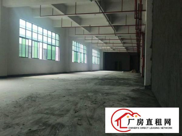 凤岗麻埔坳新出楼上全新厂房800平