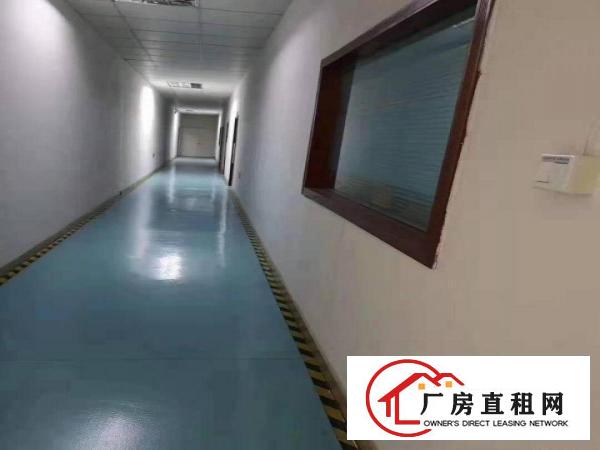  凤岗靠深圳平湖五金注塑模具一楼厂房1100平出租6米高